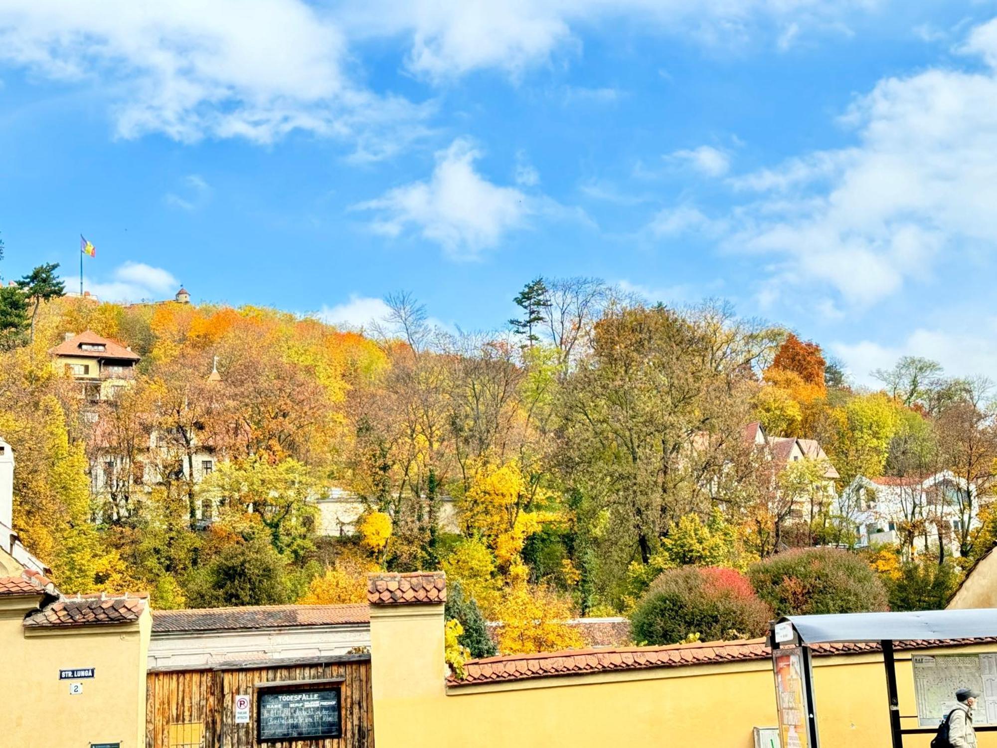 Casa Ming Villa Braşov Eksteriør bilde